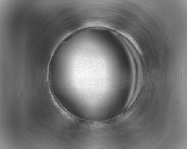 X0000073870815200608312051