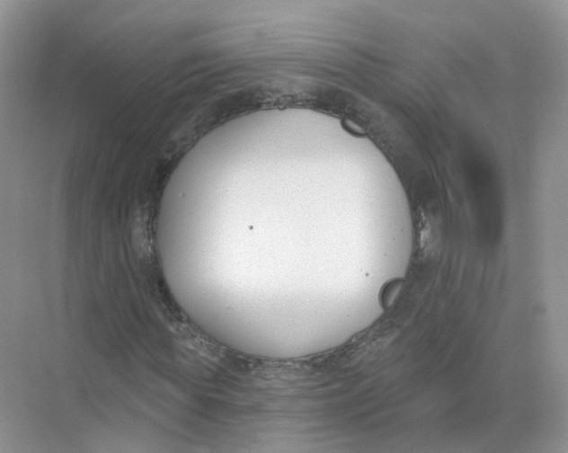 X0000073870819200608312050