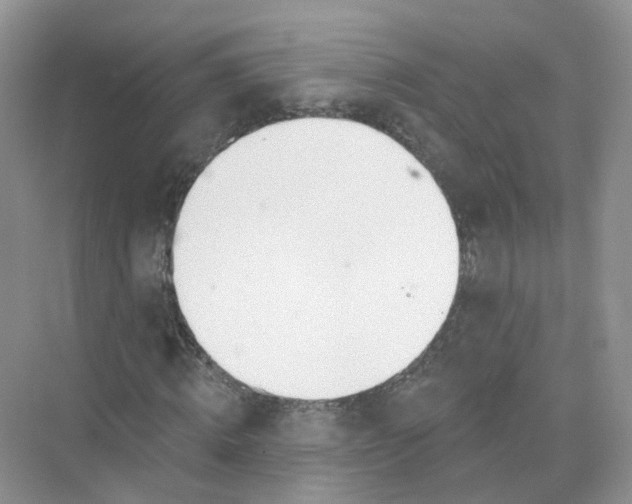 X0000073870820200608312050