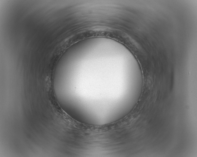 X0000073870821200608312050