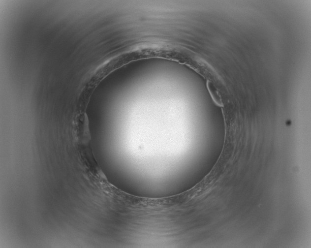 X0000073870822200608312050