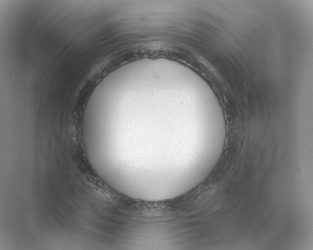 X0000073870823200608312050