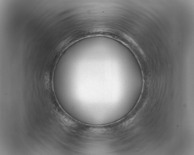 X0000073870825200608312050