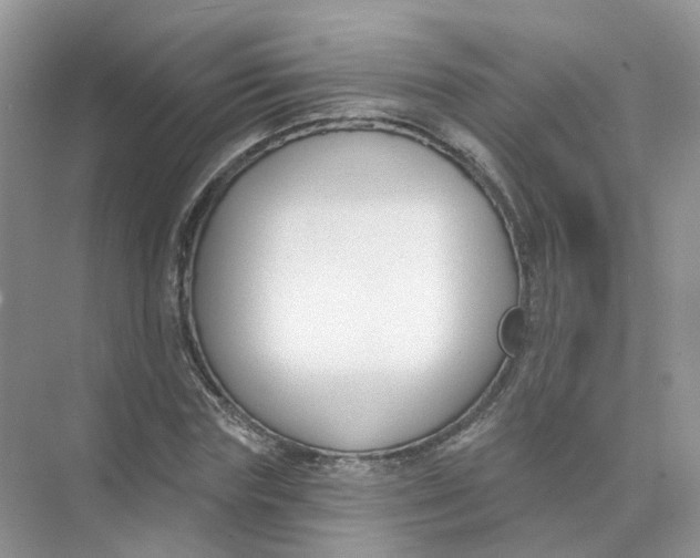 X0000073870827200608312050