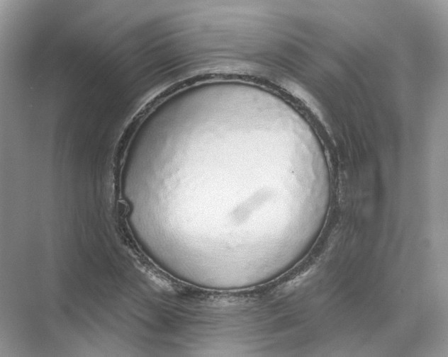 X0000073870829200608312050