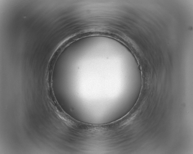 X0000073870830200608312050