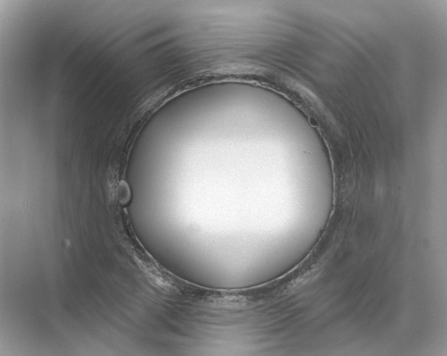 X0000073870833200608312050