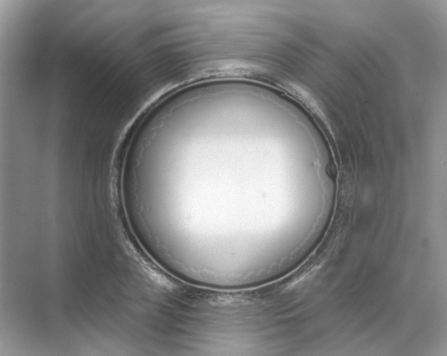 X0000073870835200608312050