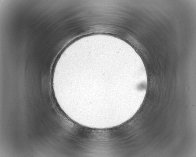 X0000073870836200608312050