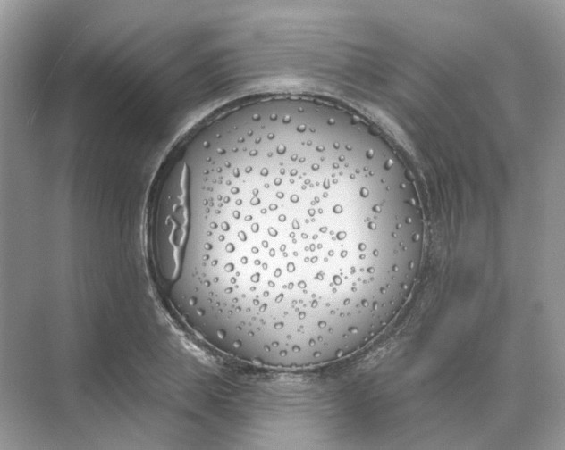 X0000073870839200608312050