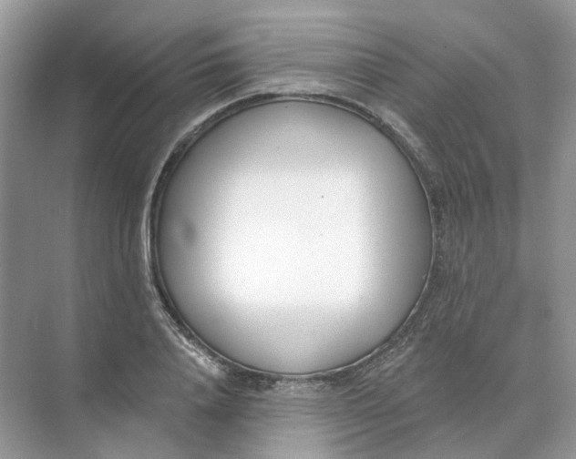 X0000073870840200608312050