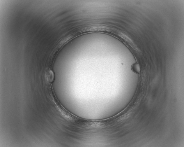 X0000073870841200608312050