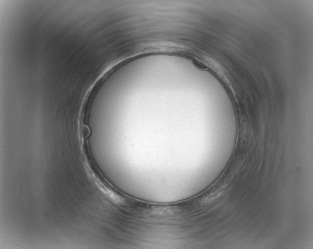 X0000073870843200608312050