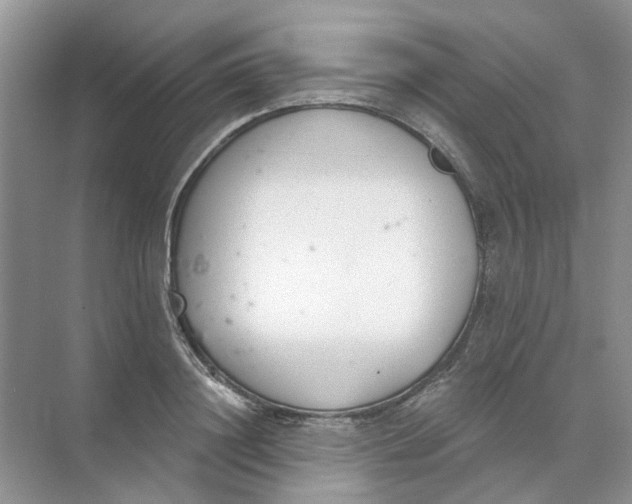 X0000073870844200608312050