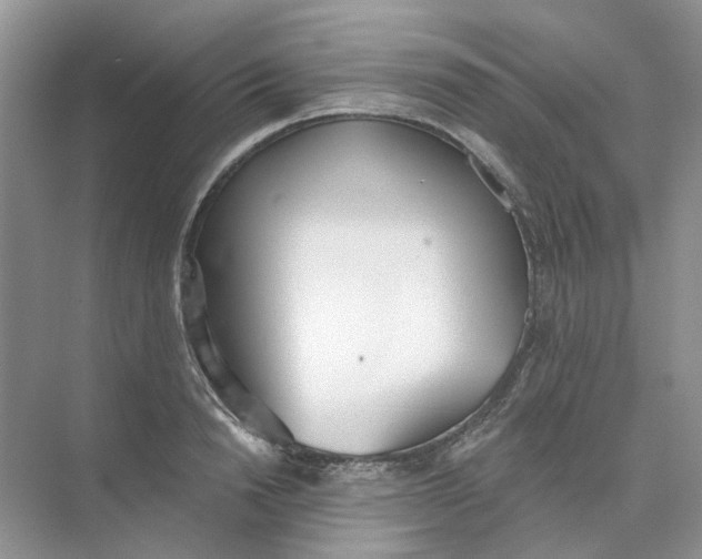 X0000073870846200608312050