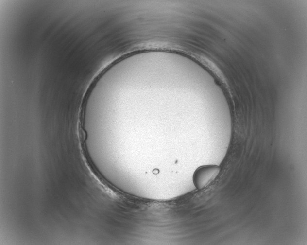 X0000073870847200608312050