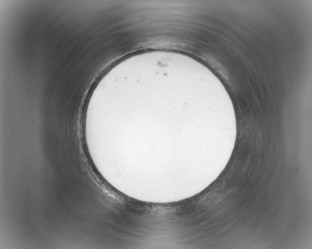 X0000073870848200608312050