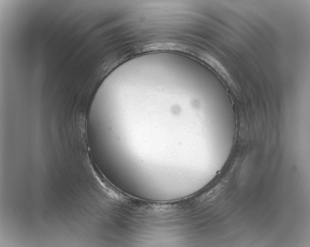 X0000073870849200608312050