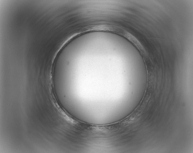 X0000073870852200608312050