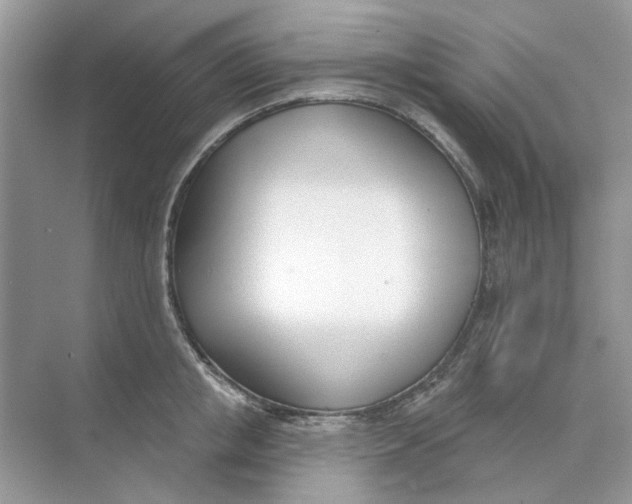 X0000073870853200608312051