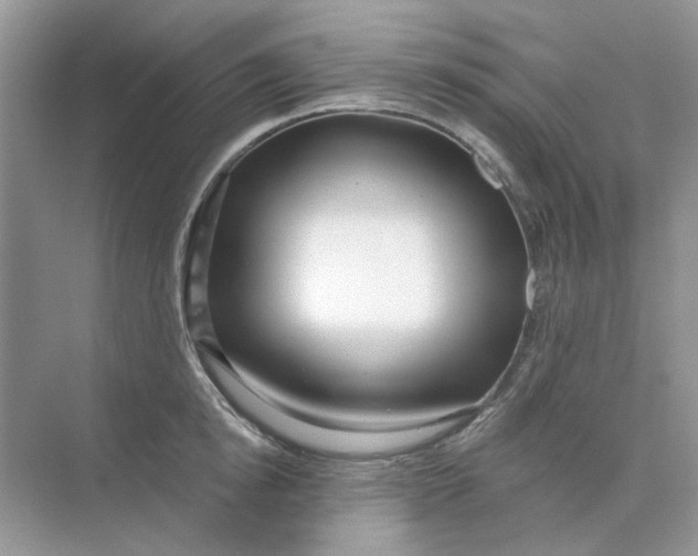 X0000073870854200608312051