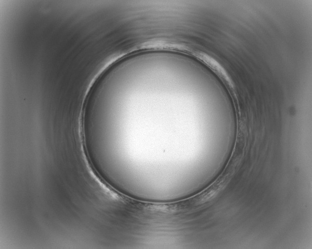 X0000073870855200608312051