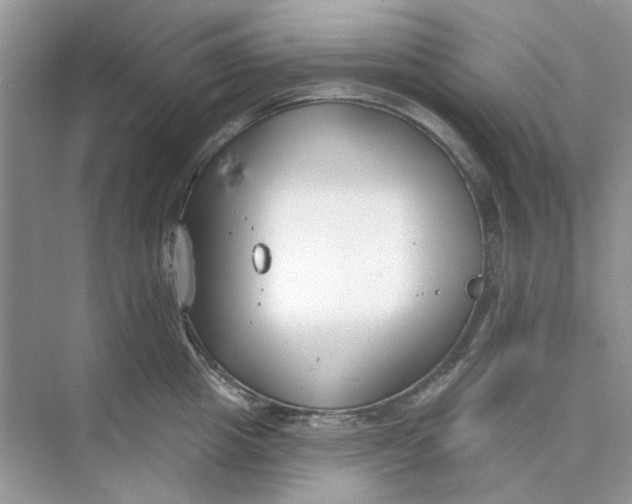 X0000073870857200608312051