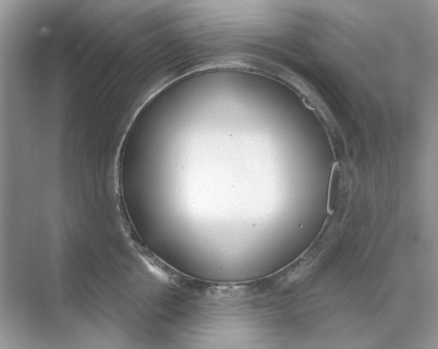 X0000073870858200608312051