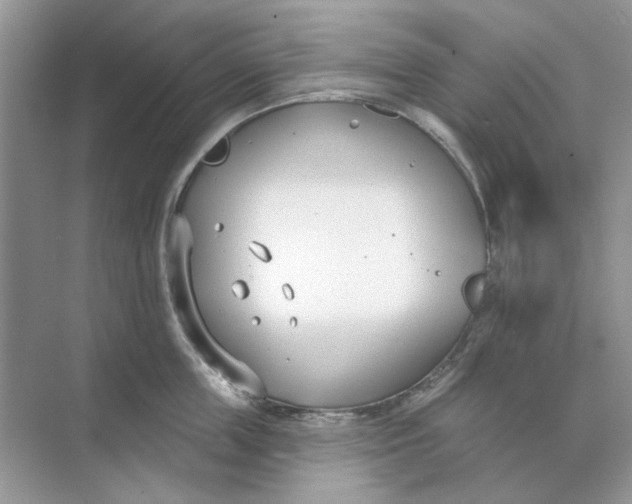 X0000073870859200608312051