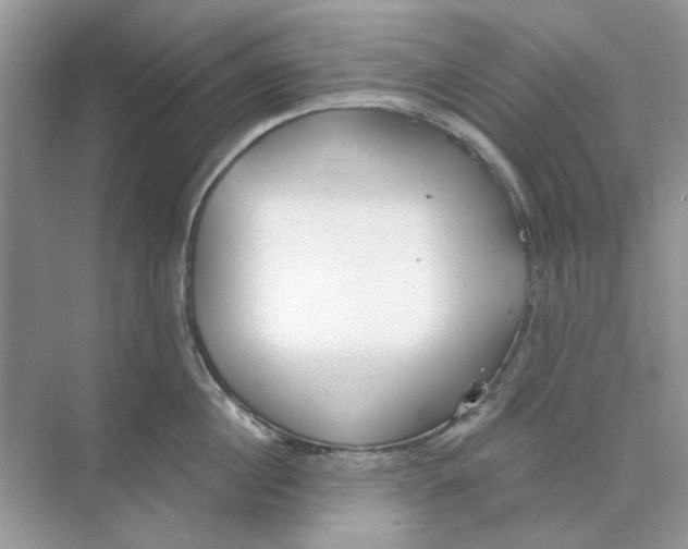 X0000073870860200608312051