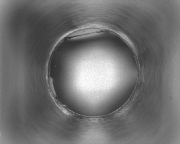 X0000073870862200608312051