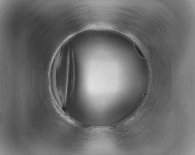 X0000073870864200608312051