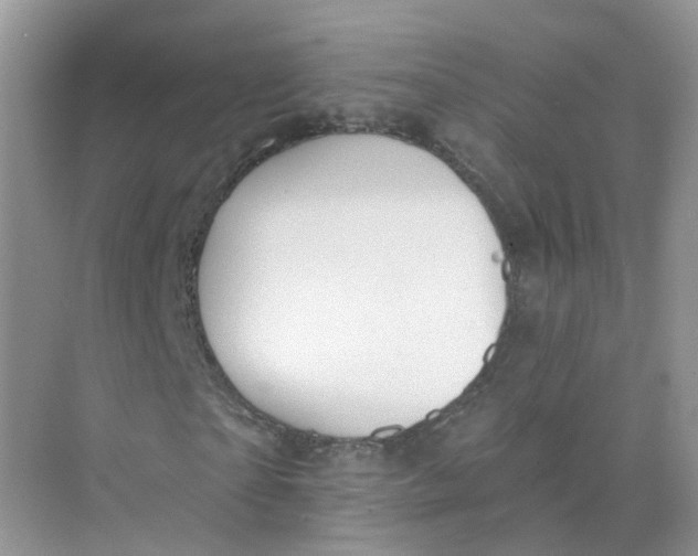 X0000073870865200608312050