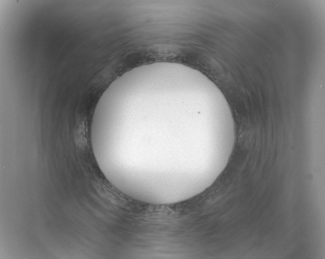 X0000073870866200608312050