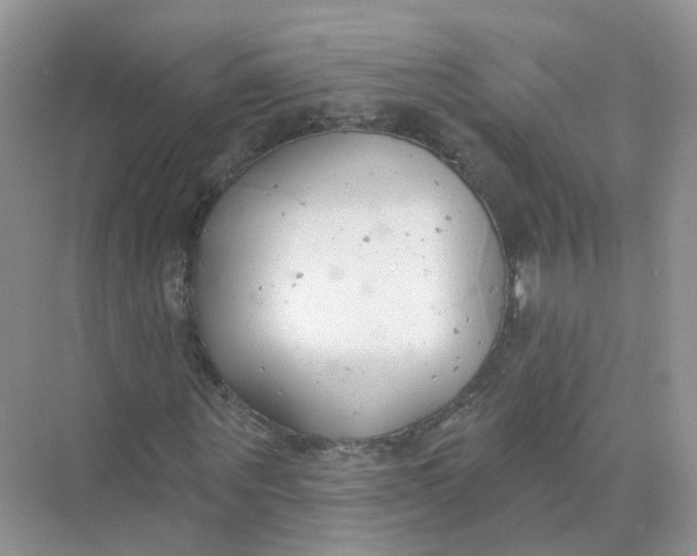 X0000073870867200608312050