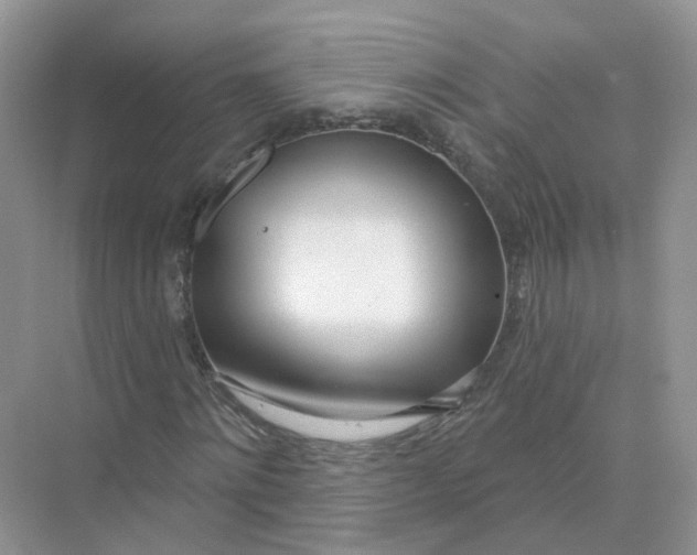 X0000073870868200608312050