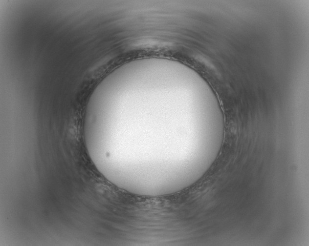 X0000073870869200608312050