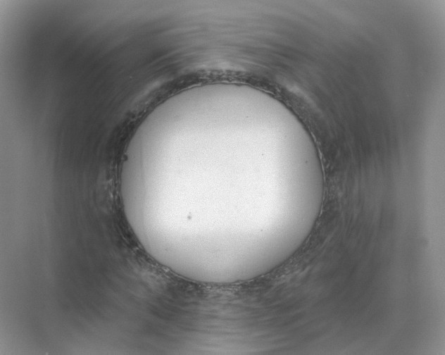 X0000073870870200608312050