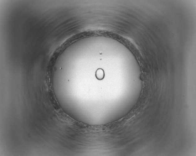 X0000073870871200608312050