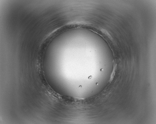 X0000073870872200608312050