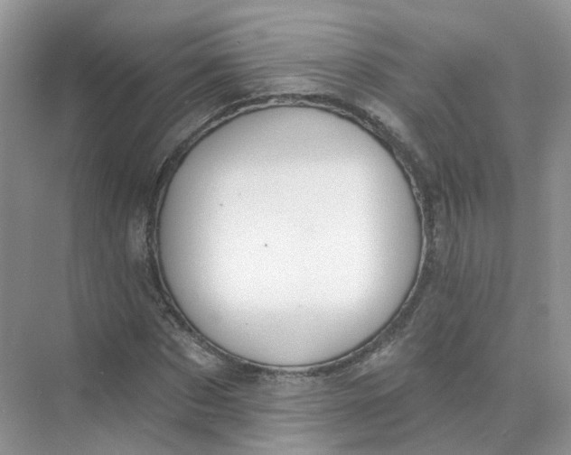 X0000073870873200608312050