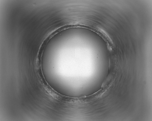 X0000073870876200608312050