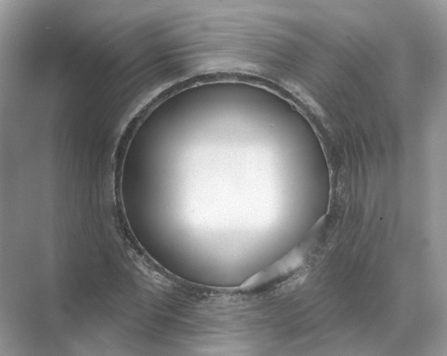 X0000073870877200608312050