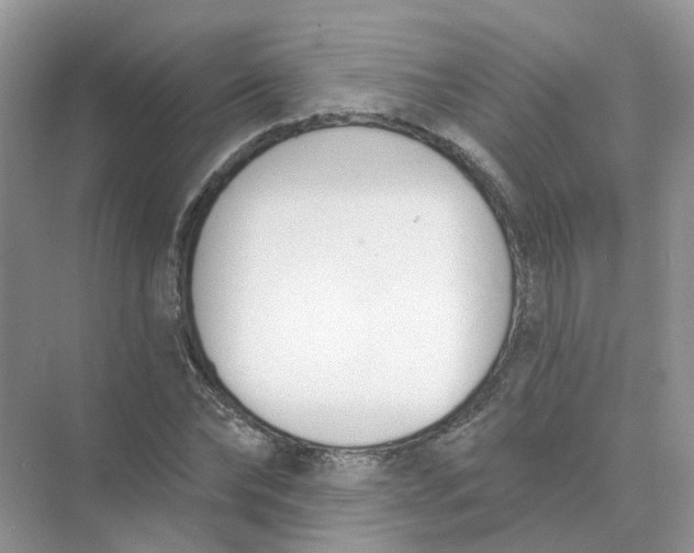 X0000073870878200608312050