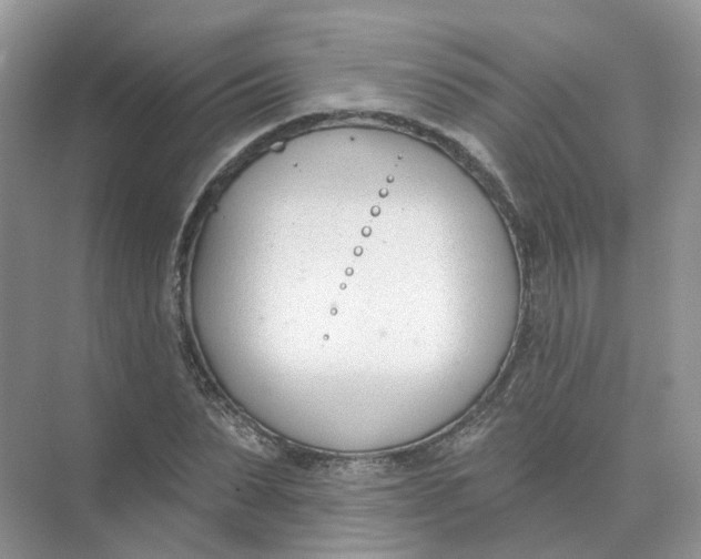 X0000073870879200608312050