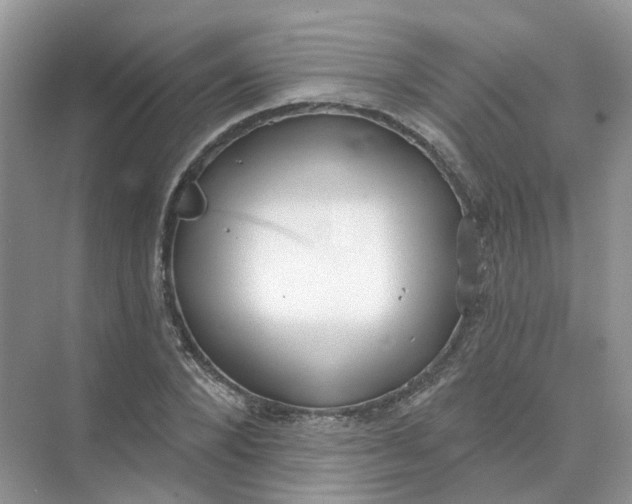 X0000073870880200608312050