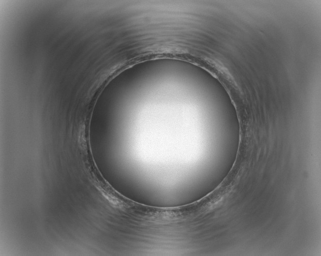 X0000073870881200608312050