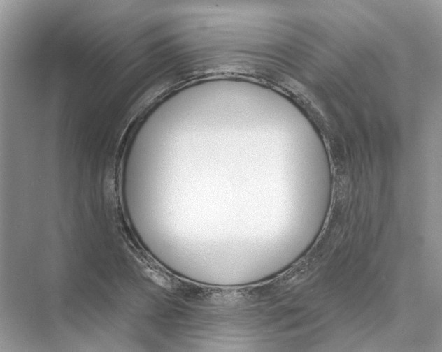 X0000073870882200608312050