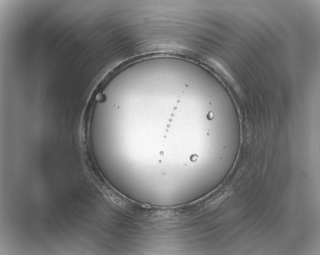 X0000073870883200608312050