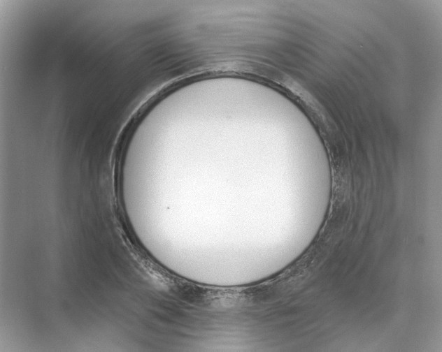 X0000073870886200608312050